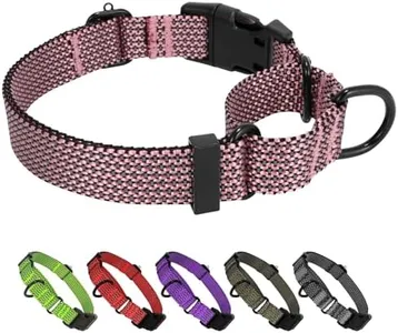 BXPAW Martingale Dog Collars Adjustable Training Martingale Collar for Dogs - Reflective No Pull Dog Collar with Quick Release Buckle (Pink, Large)