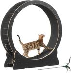 Mondeer Cat Wheel, Cat Exercise for