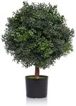 Silk Tree Warehouse One 2 Foot Outdoor Artificial Boxwood Ball Topiary Bush Potted UV Rated Plant by Bagari