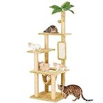 TSCOMON 55" Cat Tree for Indoor Cat