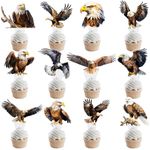 Eagle Cupcake Toppers Bald Eagle Party Decorations 48Pcs Eagle Birthday Party Decorations Bald Eagle Cupcake Picks for 4th of July Patriotic Party Supplies