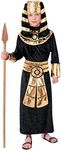 Forum Novelties Pharaoh Costume, Medium, Black/Gold