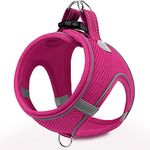 Joytale Step in Dog Harness,Soft Mesh Reflective Breathable Vest Harnesses,Easy Walk Harness with Safety Buckle for Small and Medium Dogs,M,Hotpink