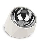 Elevated Dog Bowl for Small Dogs, T