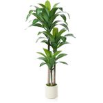 Kazeila Artificial Dracaena Plant 150cm Fake Tall Tree with White Planter,Faux Dragon Tree Plant Indoor Floor Porch Home Decor Office Living Room,1Pcs