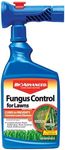 BioAdvanced Fungus Control for Lawn