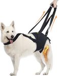 Dog Sling for Large Dogs Hind Leg S