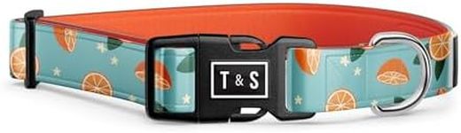 Tella & Stella - Dog Collar for Large Dogs - Adjustable & Waterproof Collar 17" to 25" - Made with Silicone - Lined with Neoprene for Comfort - Chrome D Ring for Hooking The Leash (Oranger-Large)
