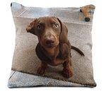 rucomfy Fibre-Filled Cushion - Personalised 'My Photo' Custom Pillow 16" Pre-Filled Inner - Family Photo Gift Idea Customised Pet Memorial Image Removable Cover Home Decor Printed (40 x 40cm)