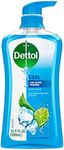 Dettol Cool Body Wash and Shower Ge