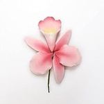 Culpitt Gumpaste Pink Orchid Flower