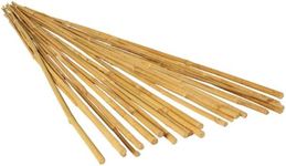 GROW!T Hydrofarm HGBB6 6' Natural, Bamboo Stake, Pack of 25, Tan