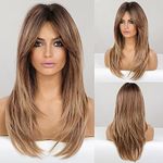 HAIRCUBE Long Wigs for Women, Ombre