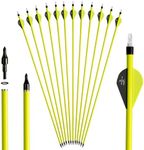 S F 30 inch Carbon Arrow Practice Hunting Arrows Spine 500 for Compound & Recurve Bow(Pack of 12)