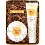 Burt's Bees Mama Bee Gift Set with Tin 3 Pregnancy Skin Care Products - Leg & Foot Cream, Belly Butter and Original Beeswax Lip Balm (Packaging May Vary)