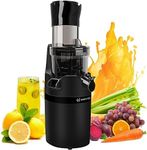 Masticating Juicer Machine for Whol