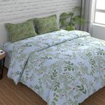 Huesland by Ahmedabad Cotton 144 TC King Size Bedsheet Cotton with 2 Pillow Covers | 108 x 108 inches | Botanical Bliss | White & Green