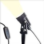 Dimmable & Light Temp Adjustable - 