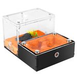 Rimsunta Ant Farm Ant House for ant Farm for Adults Study of Ant Behavior Ant Nest ant Terrarium Educational Formicarium for Live Ants and Queen Without Water Tower