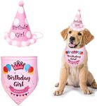 SUOXU Girl Dog Birthday Bandana,Cut