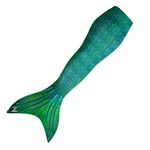 Mermaid Tail for Swimming (No Monofin) with MER-Shield Tip Protection, Adult Sizes (Siren Green, Adult Large (JL 12-16))