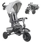 AIYAPLAY Kids Trike, Toddler Tricycle 6 in 1 Foldable Baby Trike with Adjustable Parent Handle & Canopy, Convertible Seat, Safety Harness, Storage Basket & Bag for Ages 1-5 Years, Grey