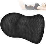 Lumbar Support Pillow/Back Cushion,