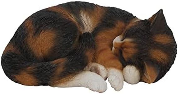 Vivid Arts - Gatto in scala al vero, addormentato, stile tartarugato