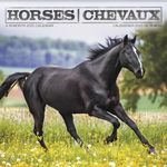 2025 Horses Wall Calendar