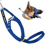 Canny Collar No Pull Dog Head Collar, Lead Training Head Harness, Dog Collar that stops pulling - Easy to fit, simple to use, kind, safe, comfortable