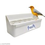 Birds Mini World 0% Food Waste Feeder for Budgies,Cocktail,Finch, Java,Peigon, 300 ML Multicolur. 2 Pices