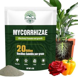 Mycorrhiza