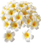 100Pcs White Foam Hawaiian Frangipa