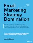 Email Marketing Strategy Domination: How to create an email strategy that engages your community, boosts profits, and turns website visitors into lifetime ROI.