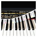 Colorful Removable Piano Keyboard Note Labels, Silicone Piano Notes Stickers Guide for Beginner, Reusable 88 Key Full Size Piano Key Music Notes Letter Label