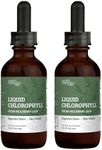Earth Harmony Liquid Chlorophyll, Liquid Drops for Immune System Support, Natural Internal Deodorant, Vegan Chlorophyll Drops with Glycerin-Clorofila Liquida, Chlorophyllin Detox Cleanse (2-Pack)