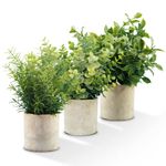 Zlesso Potted Artificial Plants Small Eucalyptus Fake Plastic Plant Pots for Indoor House Faux Plants in Pots 9.5" for Decoration and Gift for friends Decoration for kitchen