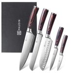 PAUDIN Kitchen Knife Set, High Carbon Stainless Steel Kitchen Knives, 5 Piece Chef Knives Sets with Ergonomic Handle, Japanese Knife Set for Kitchen,Cooking Knives Come with Gift Box