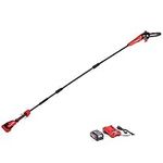 POWERWORKS XB 40V 8-Inch Cordless Polesaw, 2.0Ah Battery and Charger Included PSP301