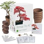 Plant Theatre Bonsai Tree Kit - Indoor Plant Growing Kit w/ 3 Mini Bonsai Seed Packs, 6 Pots, 6 Peat Discs and 6 Propagator Bags - Gardening Gifts for Men, Women and Room Decor - Crafts for Adults