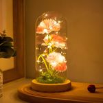 Birthday Gifts for Women Christmas Rose Light Up Carnation in Glass Dome, for Girlfriend,Colorful Artificial FlowerCarnation Gifts for Mom,Christmas Women Gifts,Xmas Gift Ideas for Women