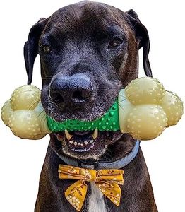Nylabone os à ronger et jouet dentaire pour les mâcheurs agressifs, double texture, goût bacon - XL - Convient aux tout grande chiens pesant 23 kilos et plus