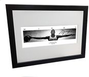 Kicks Michael Jordan WINGS Signed 12x8 A4 Chicago Bulls Basketball Autographed Photo Photograph Picture Frame Gift