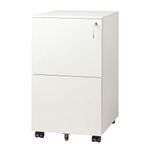 DEVAISE 2-Drawer Mobile File Cabinet with Lock, Commercial Vertical Cabinet in White