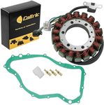 Caltric Stator & Gasket Compatible 