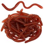 Suilung 24 Pieces Artificial Earthworms Soft Stretchy Toys Realistic Fake Worms Plastic Lifelike Worm Prank Trick Toy for Halloween Decoration April Fools' Day Party Favor Gifts