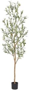 Bellacat Faux Olive Tree 6ft，Olive Trees Artificial Indoor with Natural Wood Trunk and Realistic Leaves and Fruits. 6 Feet(72in) Fake Olive Tree for Home House Office Décor.