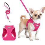rabbitgoo Dog Harness Small Breed and Leash, Step in Soft Light Puppy Vest, Breathable Mesh No Pull Pet Harness, Reflective for Safe Easy Walking, Rose Red XXS