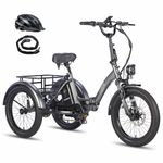 Fafrees F20 Mate Electric Trike E-Bike, 20 * 3.0 Inch Fatbike, Folding Electric Tricycle, 48V/18.2Ah Removable Battery, Rear Rack, Range 110KM, Electric Cargo Tricycle for Adult Senior (Grey)