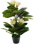 EZY Hedge and Plants 2.6ft Artificial Magnolia Flowering Plant Potted Fake Plant for Home Office Shop Cafe Indoor Bathroom Decor, 80cm, Multicolor